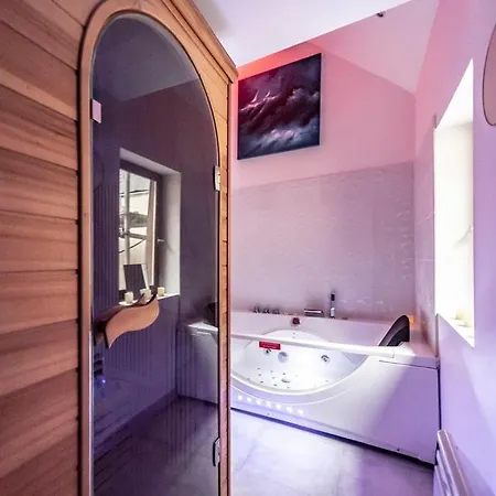 Apartment Studio § Le Danton - Hypercentre Dijon