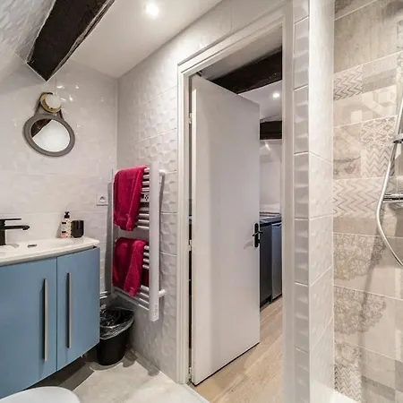 Studio & Le Danton - Hypercentre Apartment