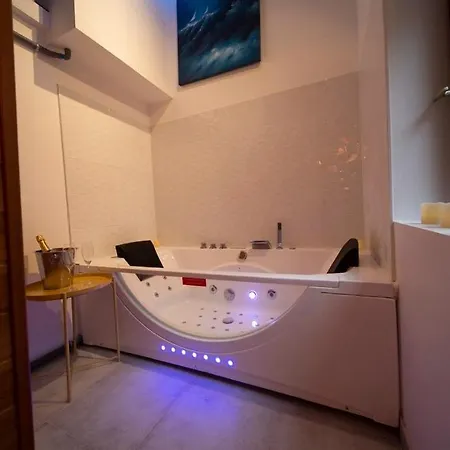 Studio & Le Danton - Hypercentre Apartment Dijon